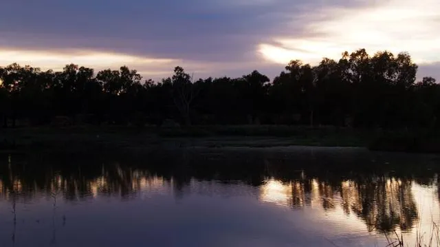 Narrandera Wetlands
