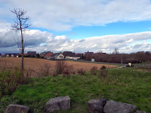 photo-2