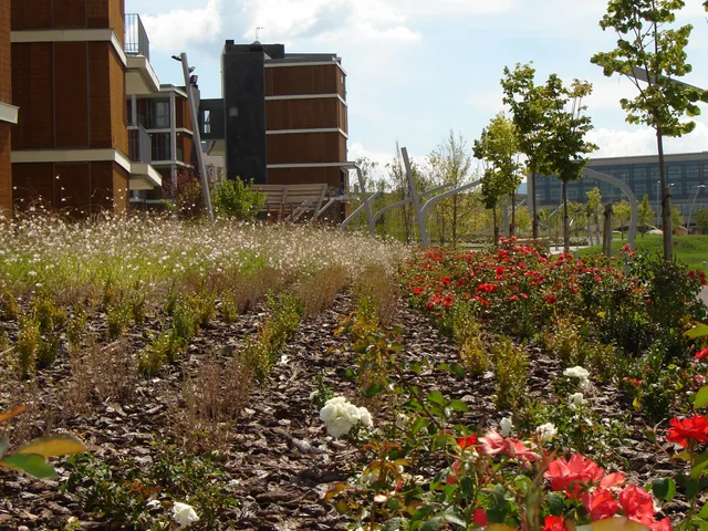 Valle de Tena apartments - Las Margas Golf