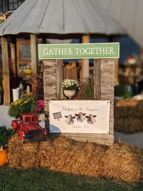 Heifers in the Haymow