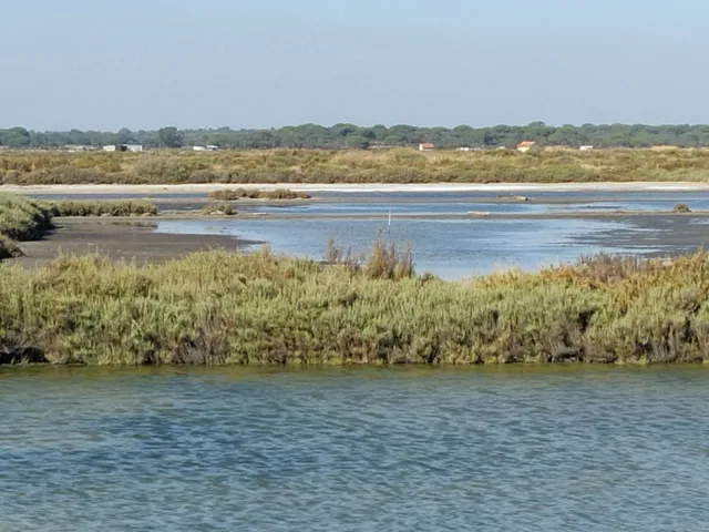 Reserva Natural do Estuário do Sado