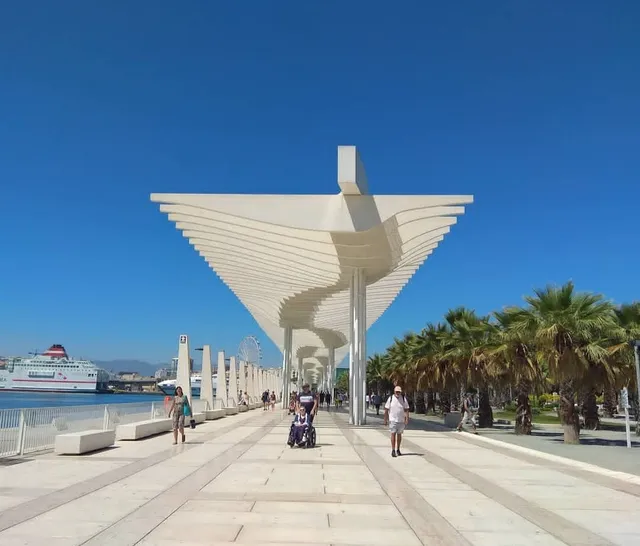 Palmeral de Las Sorpresas