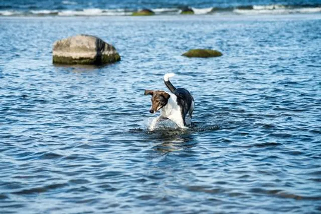Recreatiegebied Geestmerambacht