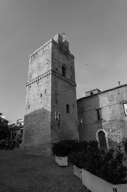 photo-3