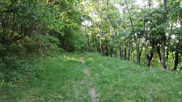 photo-1