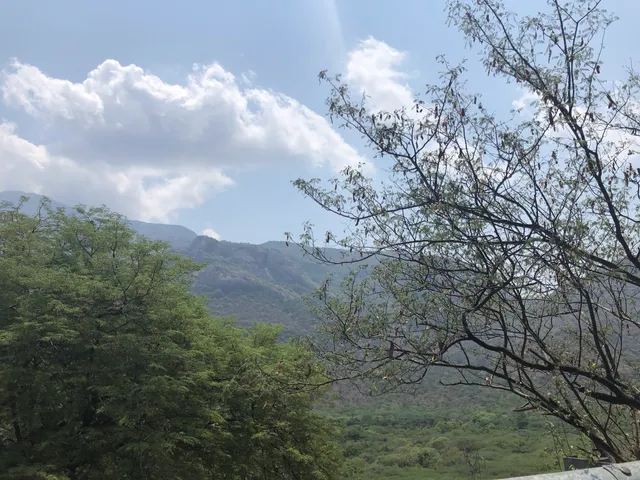 Amaravathi RF Wildlife