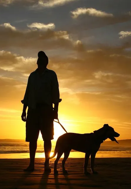 Strike Casino By Big Daddy