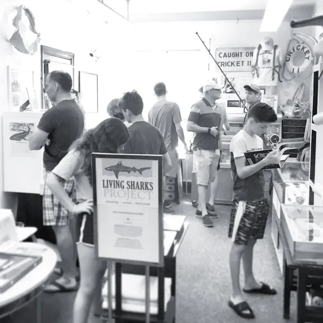 Living Sharks Museum