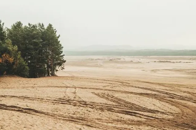 Pustynia Błędowska - Róża Wiatrów