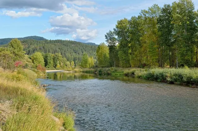 Coeur d'Alene National Forest