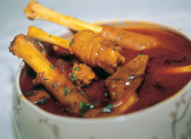 Noora Paya Center نورا پایا سینٹر