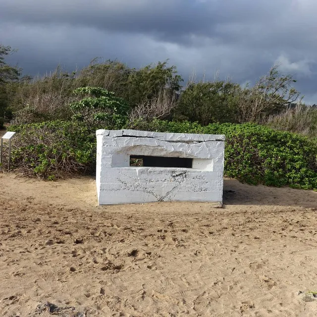 Turtle Bay Pillbox