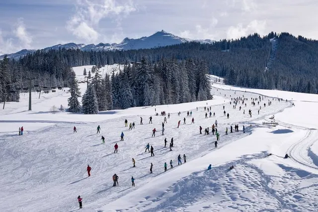 Winklmoos-Steinplatte