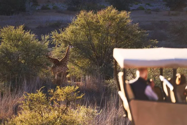 Sanbona Wildlife Reserve