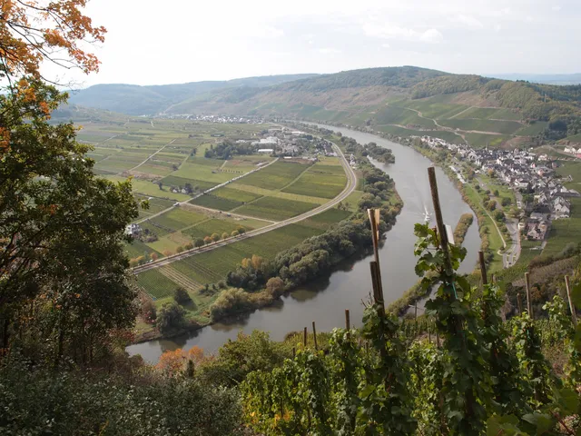 Moselsteig Etappe Ürzig - Bernkastel-Kurs