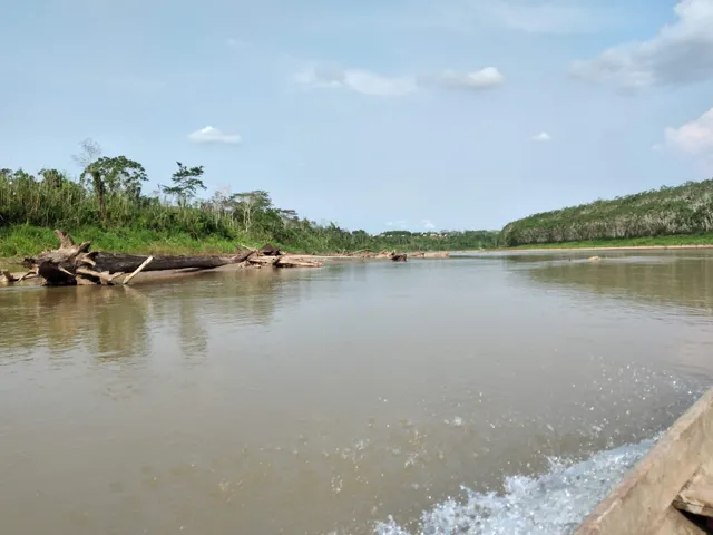 Parque Nacional Alto Purus
