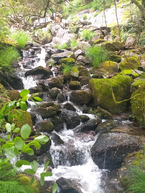 Passadiços do Rio Gresso