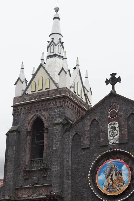 Palomino Flores (Central Park)