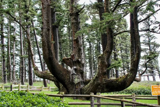 place image