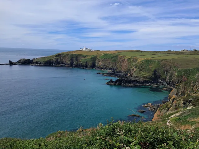 Lizard Wireless Station