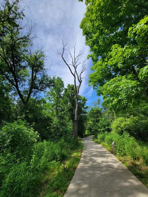 Ray Franzen Bird Sanctuary