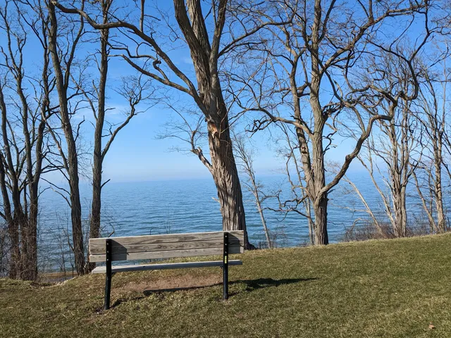 Webster Park