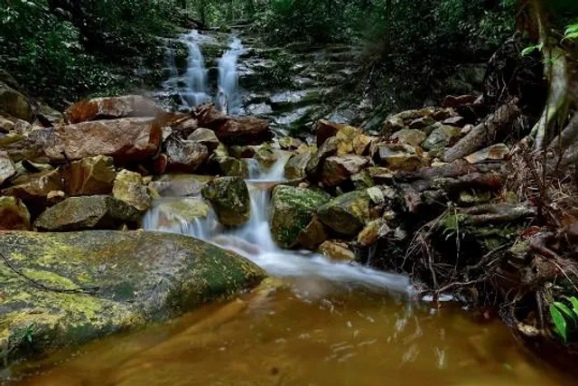Taman Negara Santubong