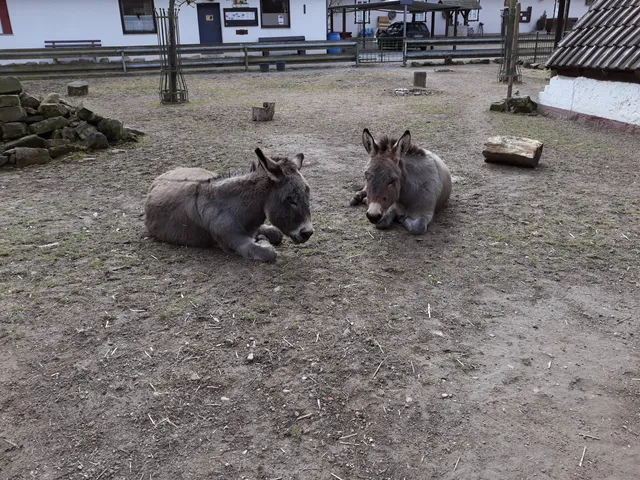 Small Animal Park Bad Schönborn