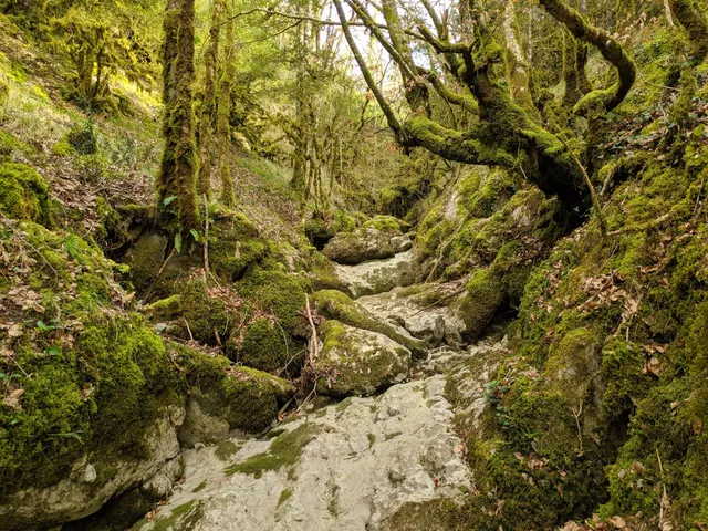 Urruntzure-ren iturburua