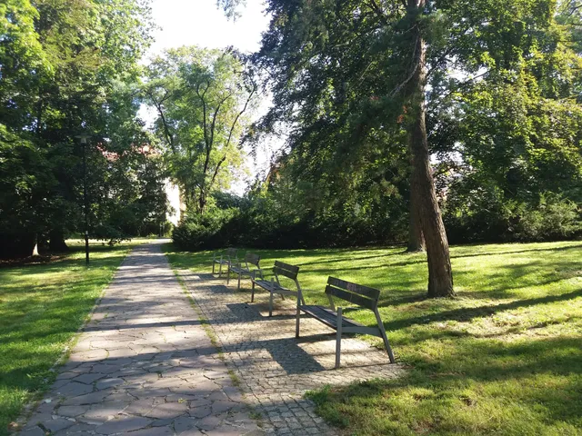 photo-1