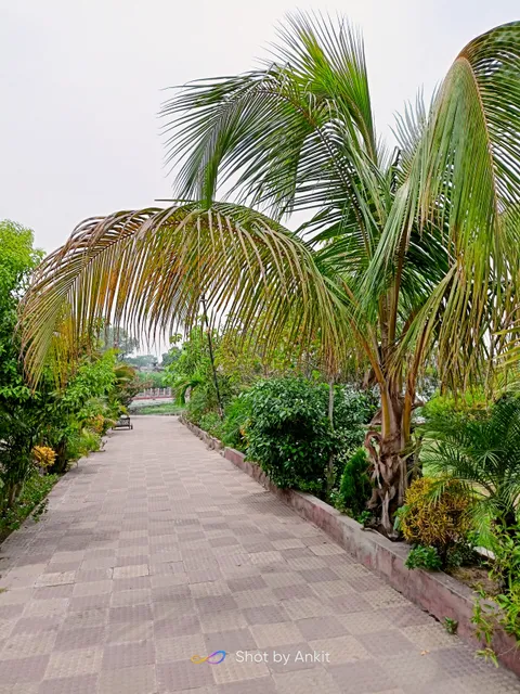 Bekarbandh Park