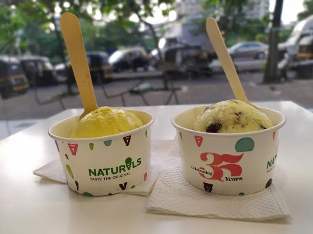 Naturals Ice Cream