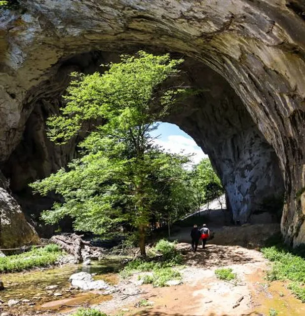 Natural Stone Bridge & Caves