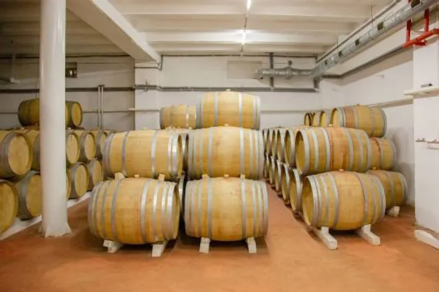 Musée automobile PANINI