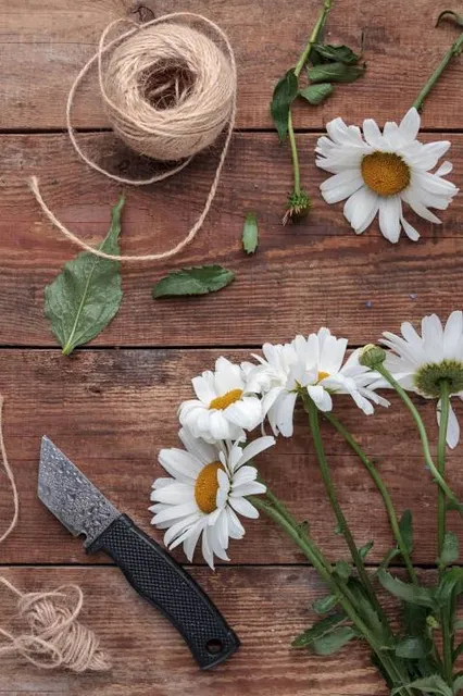 Castellow Hammock Preserve & Nature Center