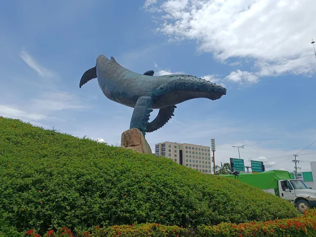 Vallarta Whale