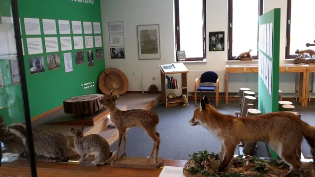 WALDMUSEUM GLÜCKSBURG