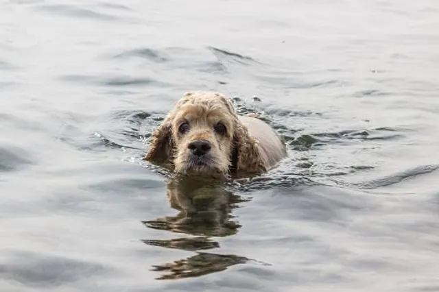 Hightower Beach Park