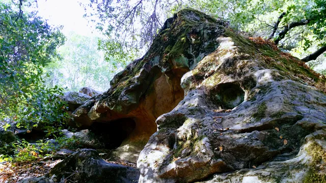 Chitactac-Adams Heritage County Park