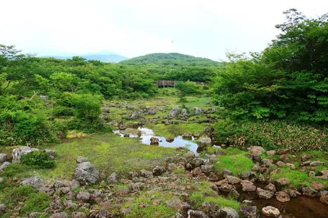 1100 Highland Rest Area