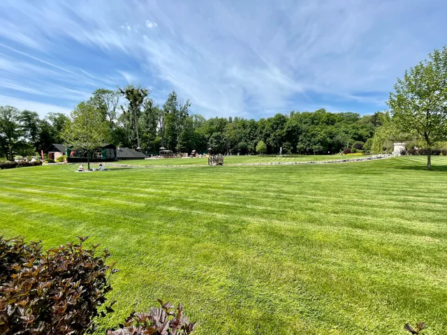 Sala zabaw alele/ Park Przygód i Atrakcji