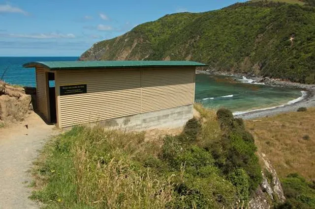 Roaring Bay Penguins & Seals Observatory