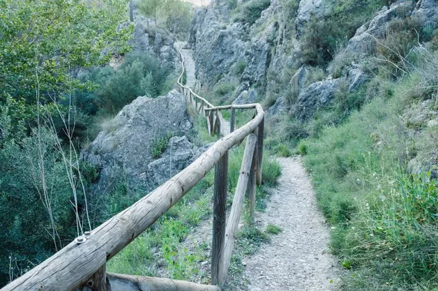 Salt del Molí