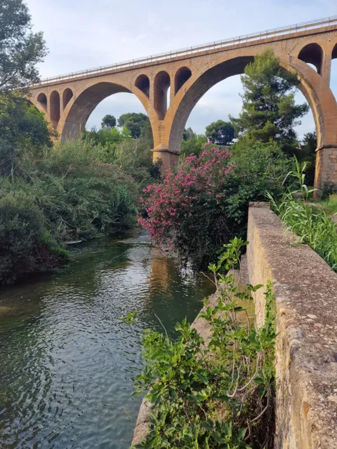 Mare de Déu de Gràcia (Vila-real)