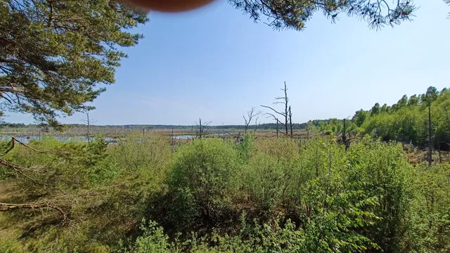 Punkt obserwacji przyrodniczych "Sławoszyno"