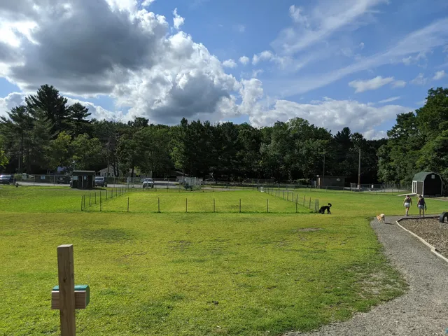 Chelmsford Dog Park