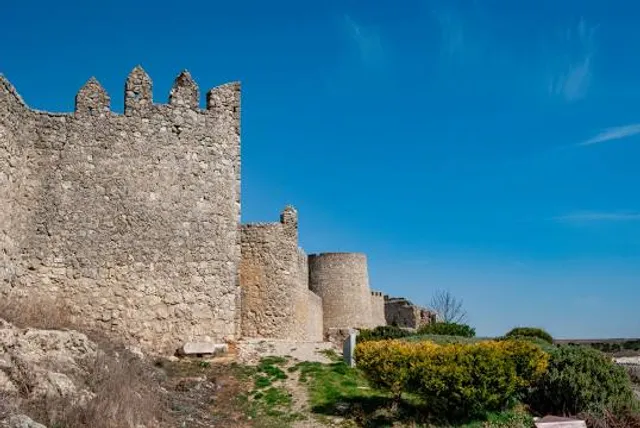 Castle of Almansa
