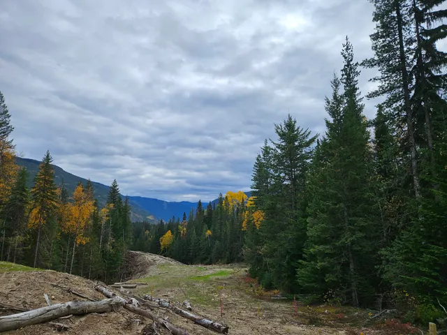 Finn Creek Provincial Park