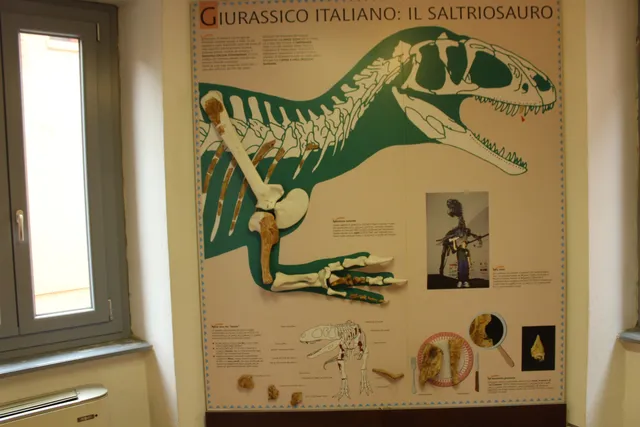 Museo Civico dei Fossili di Besano