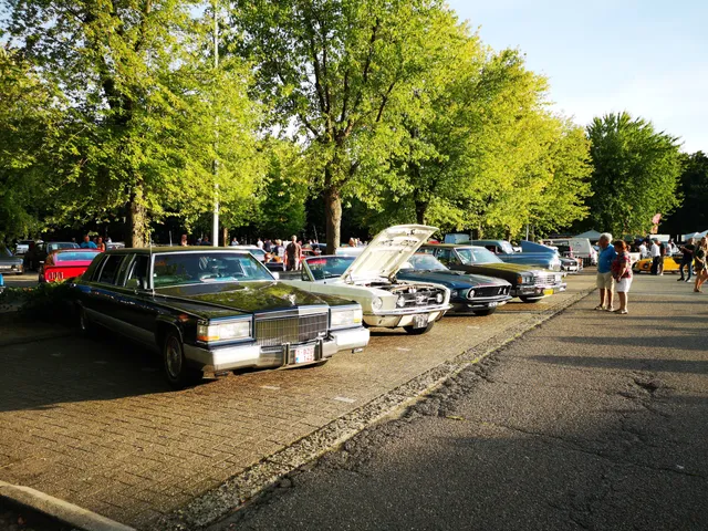 Vintage Chroom Meeting Lanaken